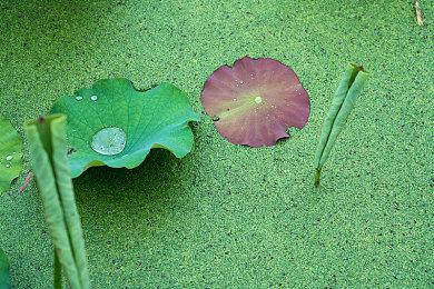 《龙之信条2》导演：只有无聊的游戏才依赖快速旅行